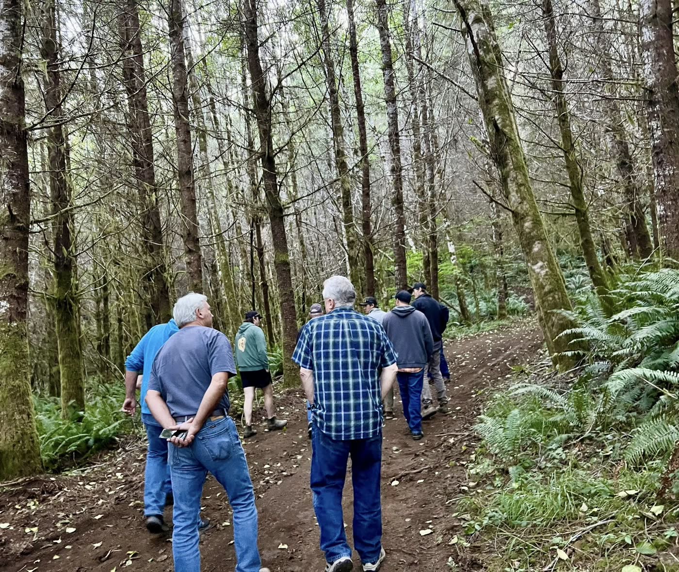 Guests on a guided forest walk